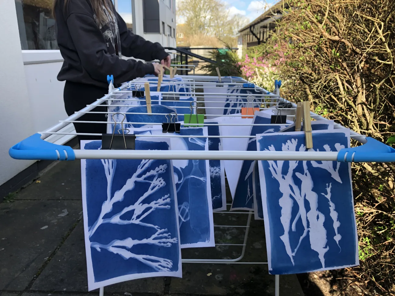 Blue and white sun-prints or cyanotypes drying outdoors on a clothes horse, overlooking the harbour and the blue sea.