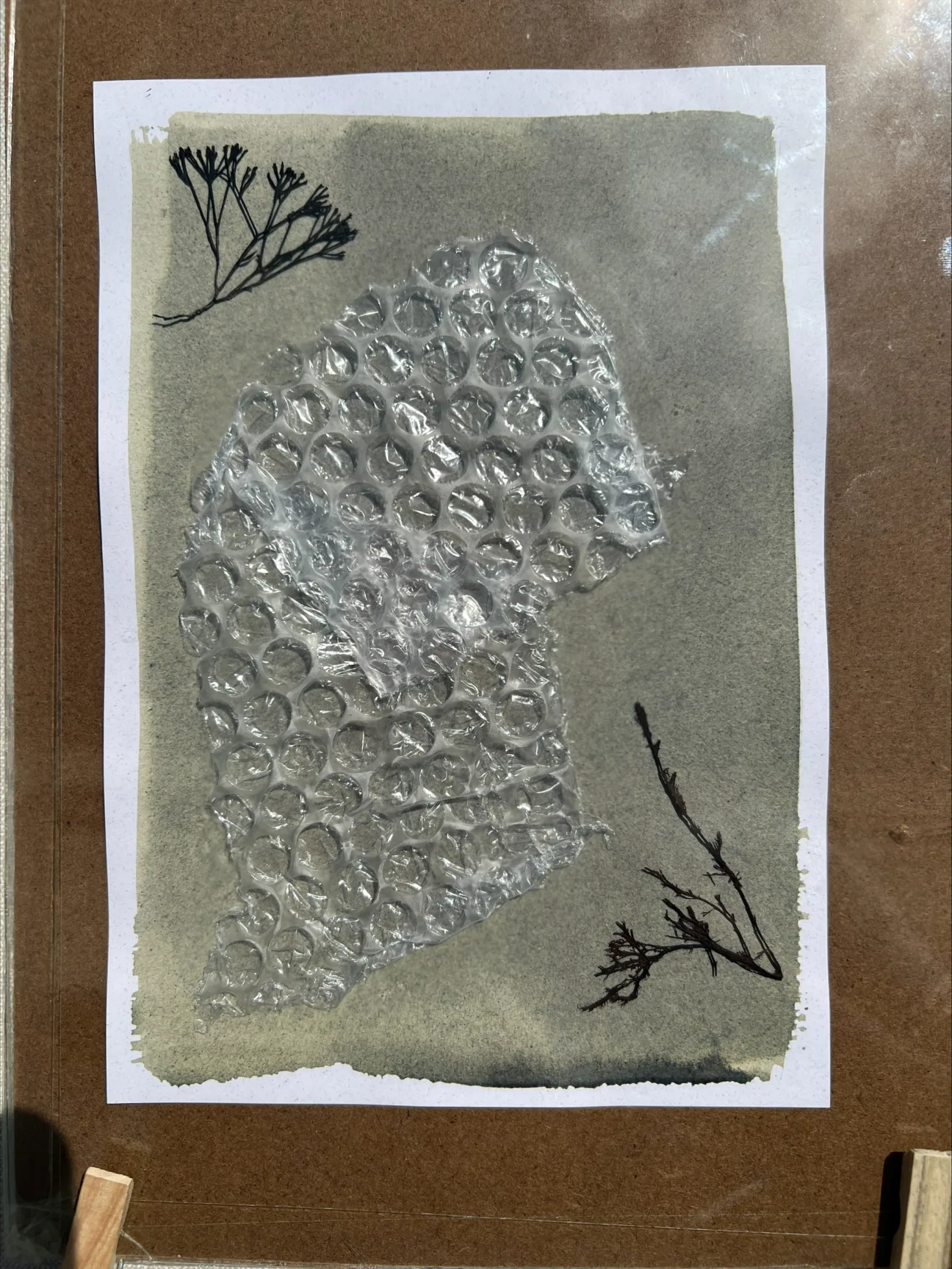 Materials, including bubble wrap and seaweed placed in preparation for printing.
