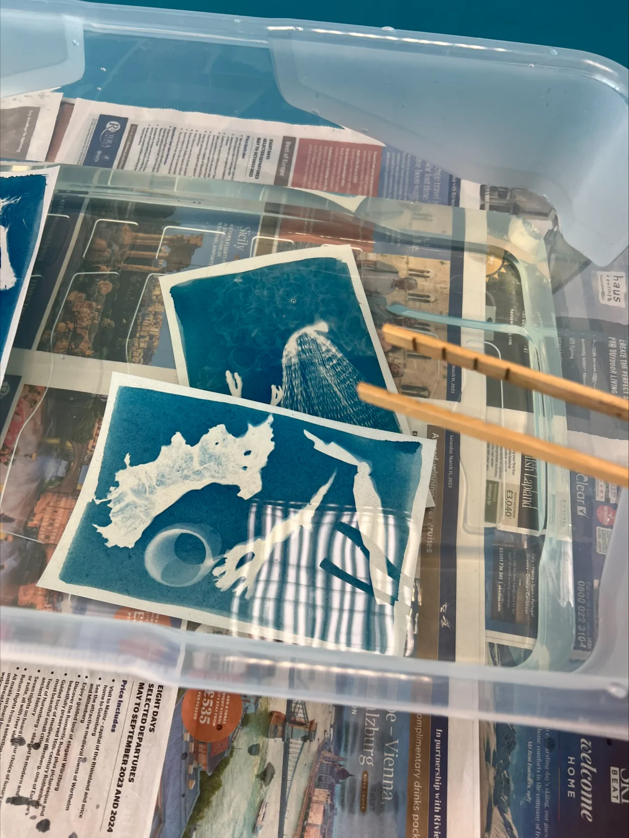 A large trough of water in which sun-prints or cyanotypes are developing, depicting images of plant life.