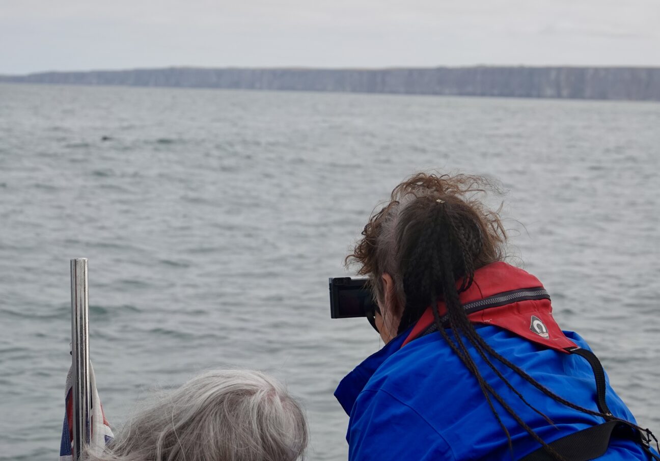 In foreground a lady wearing a buoyancy aid takes a photo of a distant marine mammal on her phone.
