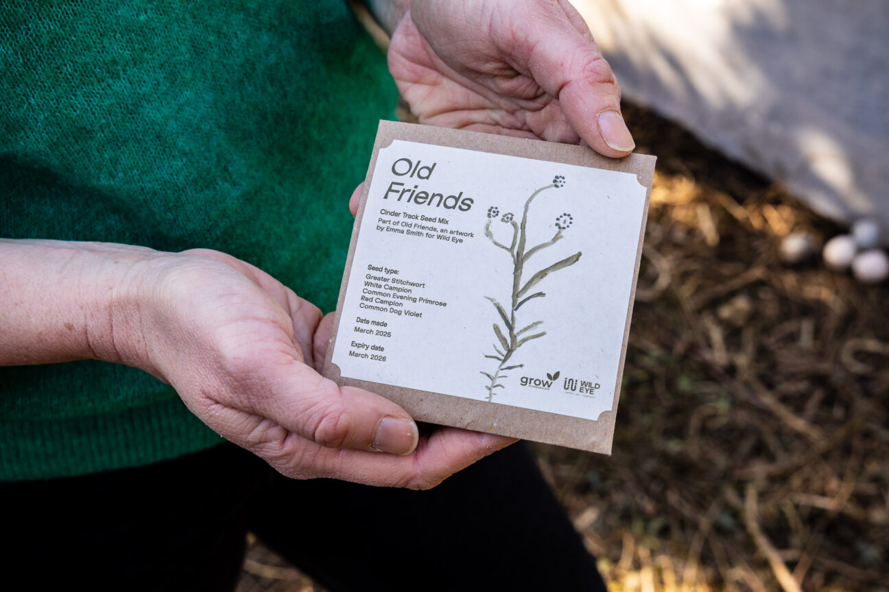 A seed mix in a box