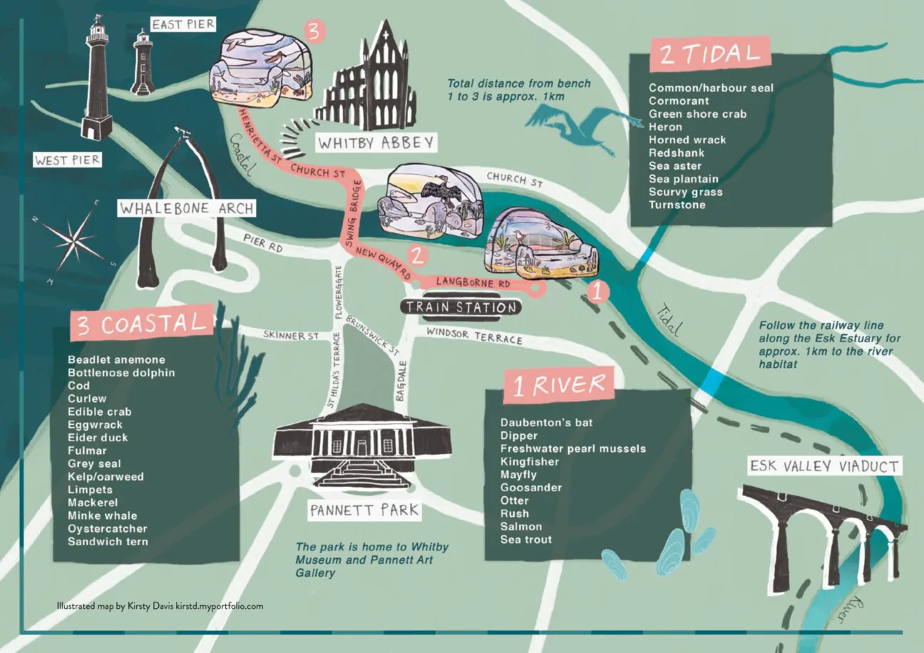 Illustrated map of Juneau Projects' bench locations in Whitby