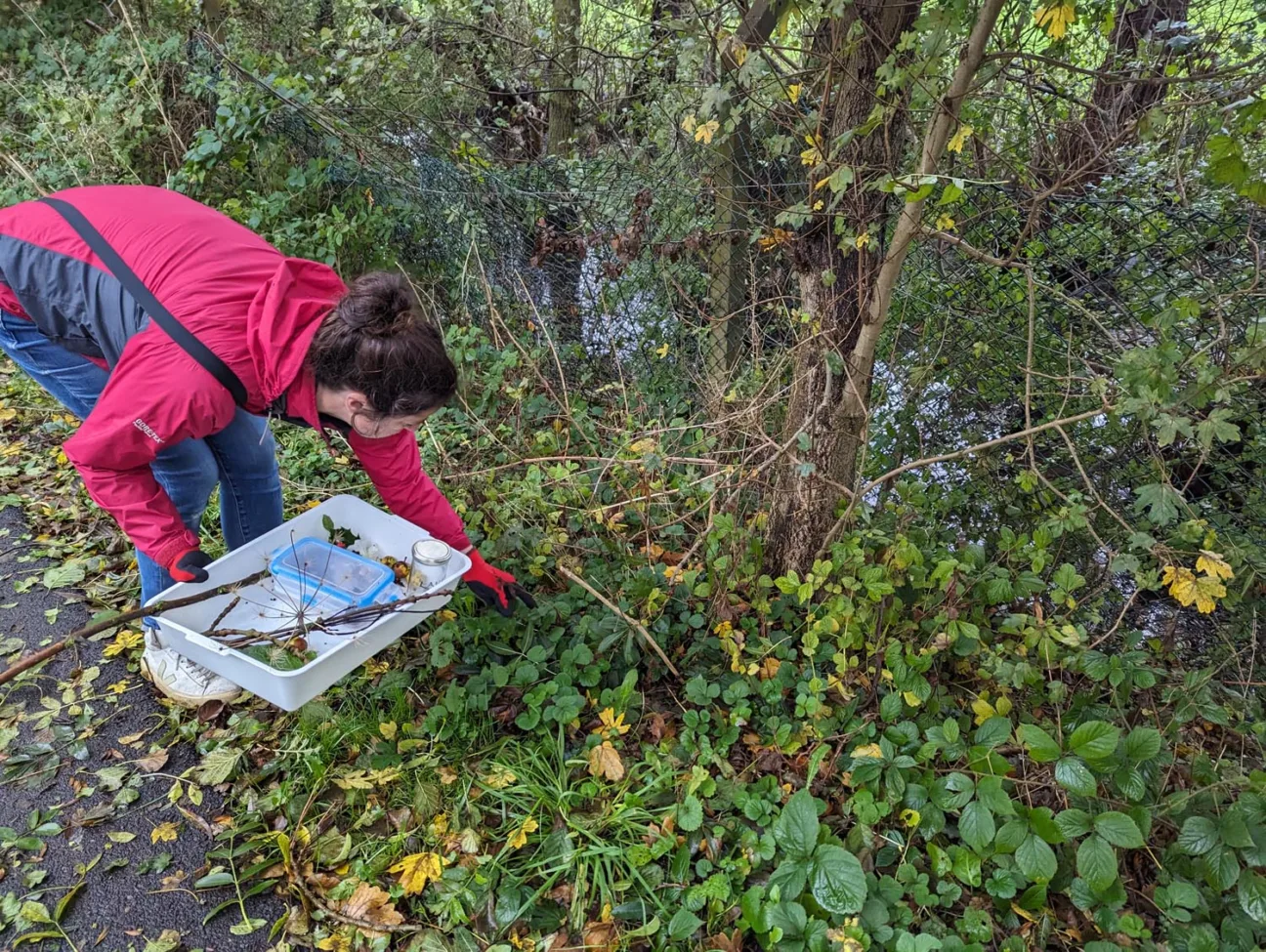 Artist Emma Smith bends down into scrub to look for natural materials for workshop.