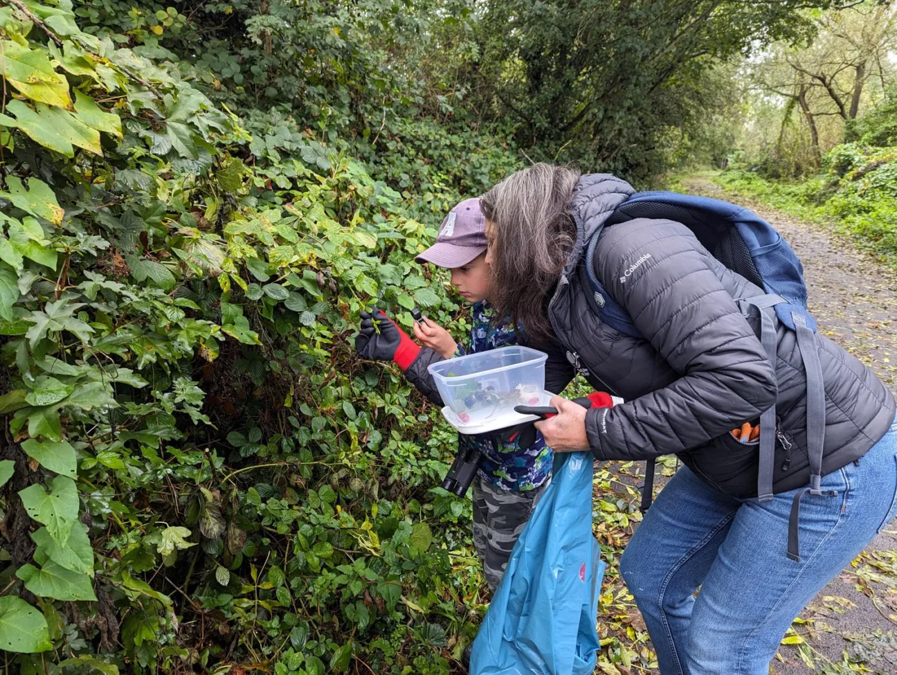 A woman and child peer into a hedgerow along the Cinder Track to look for berries to add to their container.
