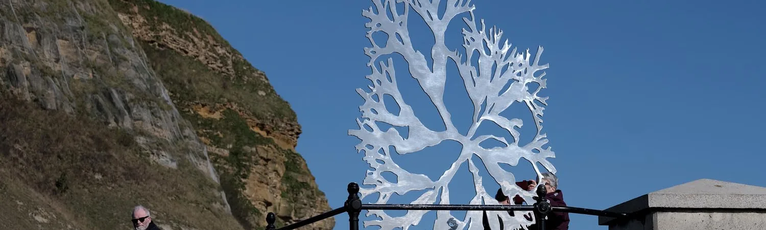 Sea Oak sculpture, a stainless steel form representing bladderwrack seaweed, created by artist Paul Morrison