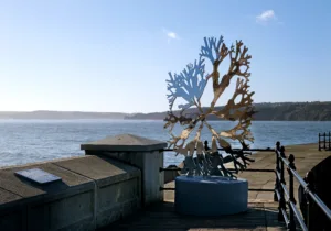 Sea Oak sculpture, a stainless steel form representing bladderwrack seaweed, created by artist Paul Morrison