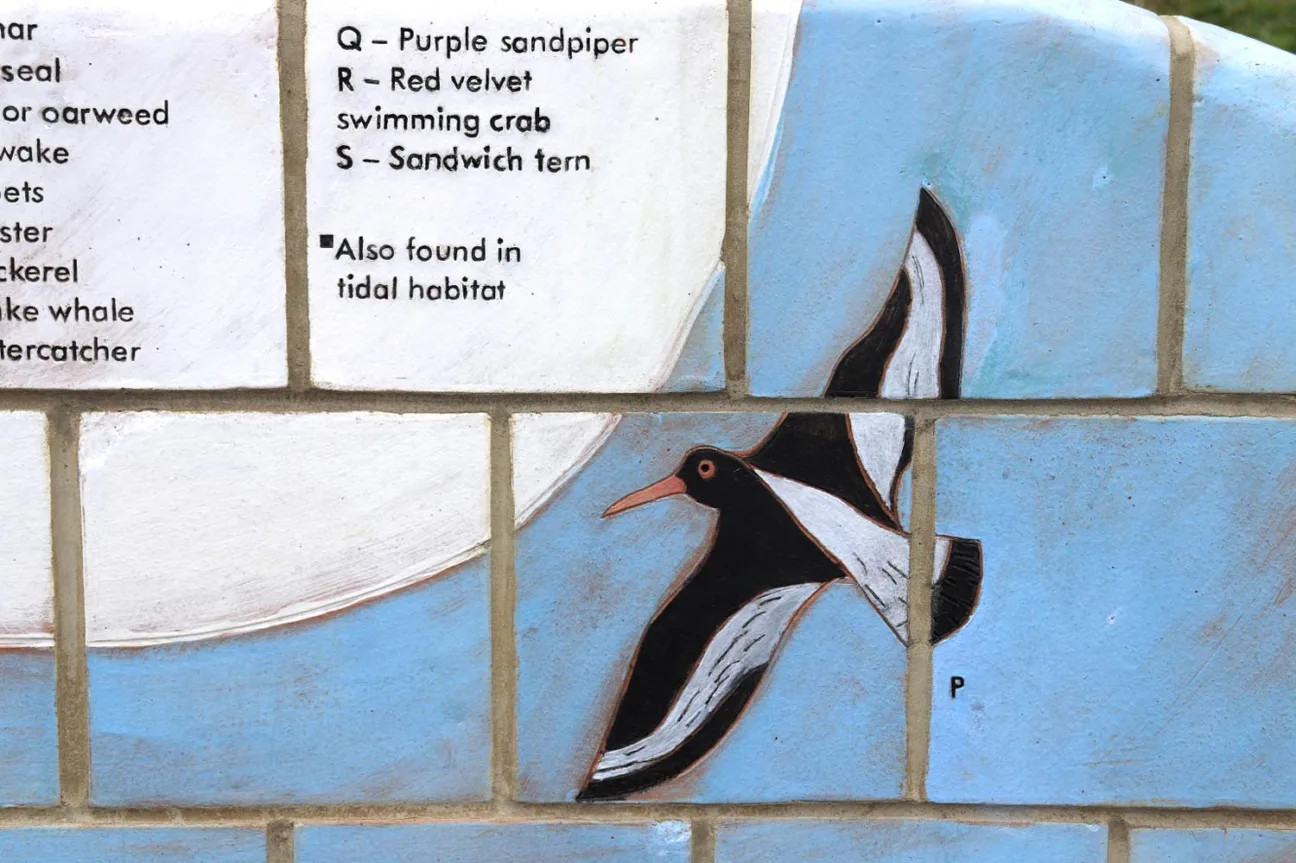 A section of a colourful sculptural bench, depicting an oystercatcher in flight