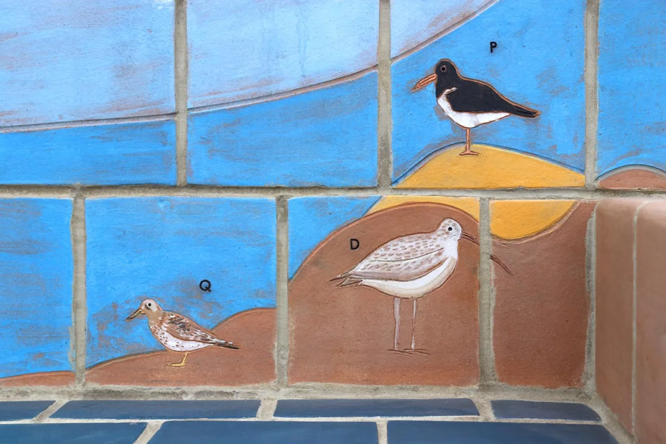 A section of a colourful sculptural bench, depicting an oystercatcher, heron and purple sandpiper on mudflats