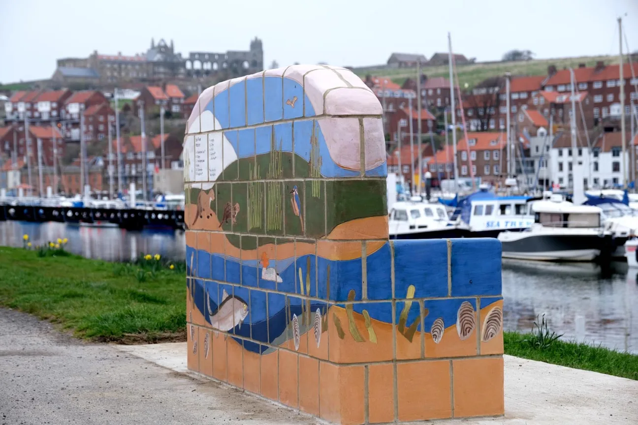 The side of a colourful ceramic bench, depicting estuary nature, including freshwater pearl mussels, kingfisher, sea trout and otter. The bench faces Whitby Harbour with Whitby Abbey in the background.