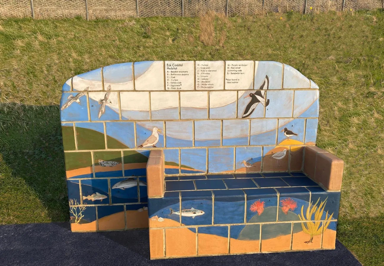 A colourful ceramic bench, depicting coastal habitat , including limpets, purple sandpiper, curlew, oystercatchers, and bottlenose dolphin.