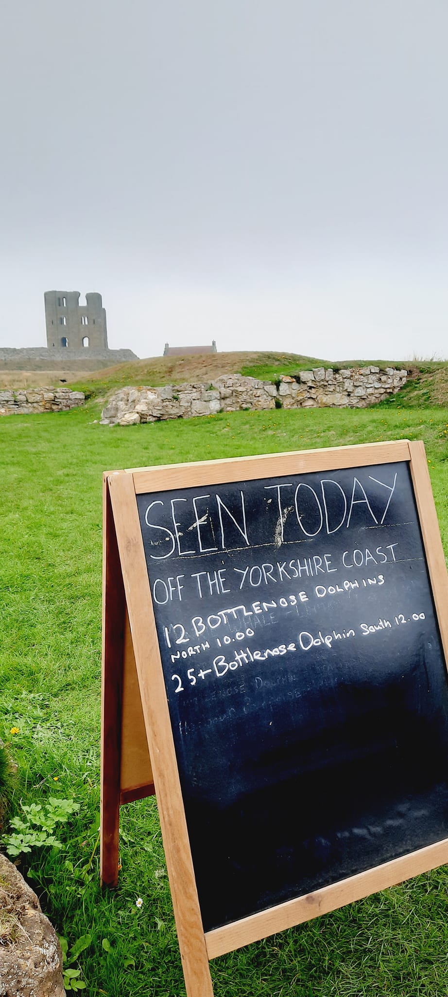 Scarborough Castle SeaWatch blackboard displaying what has been spotted today
