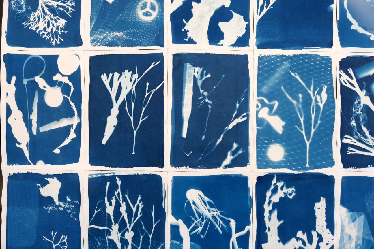 Community made cyanotypes displayed in an empty shop window on newborough, Scarborough