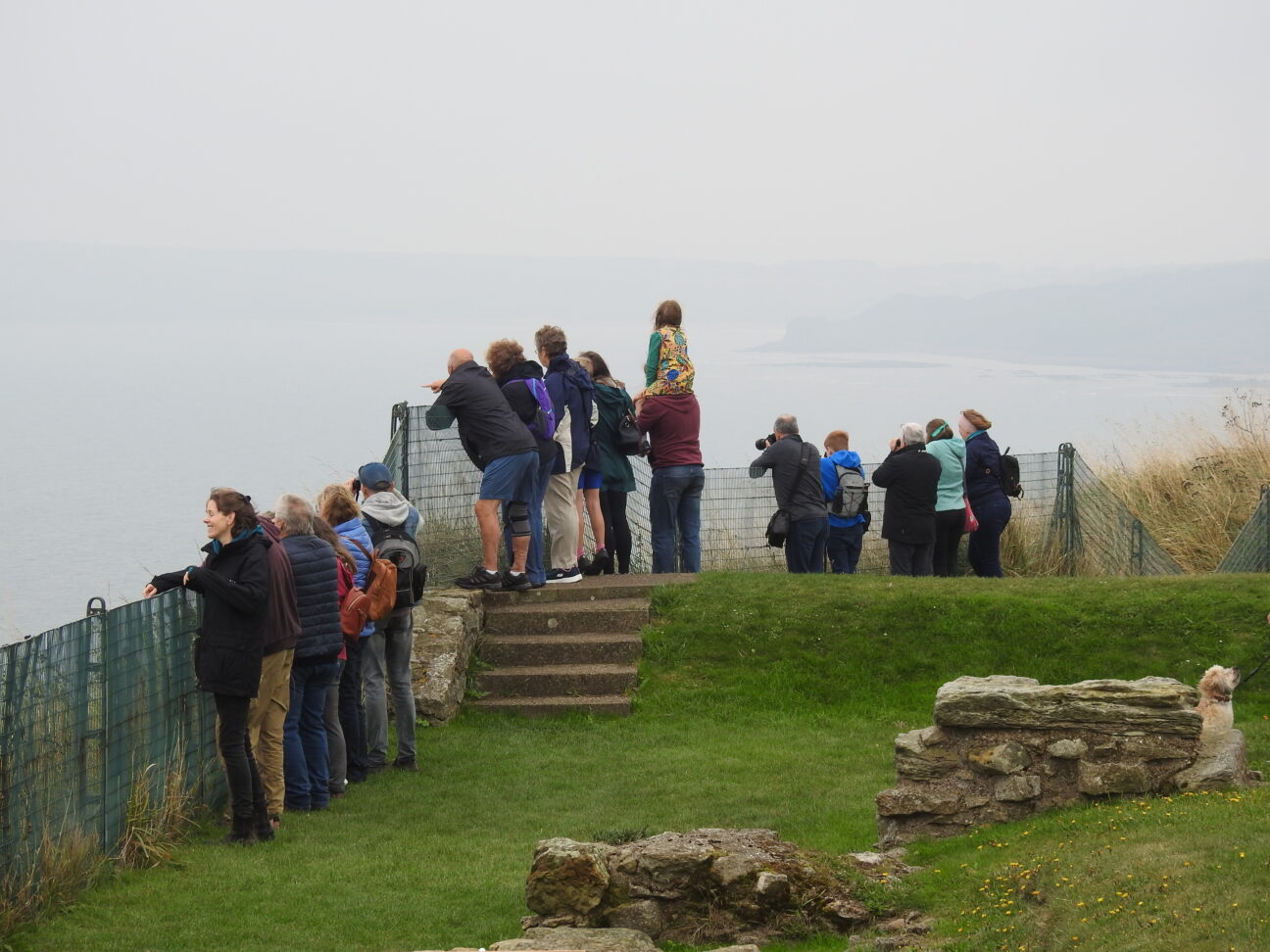 Community Seawatching day, Scarborough