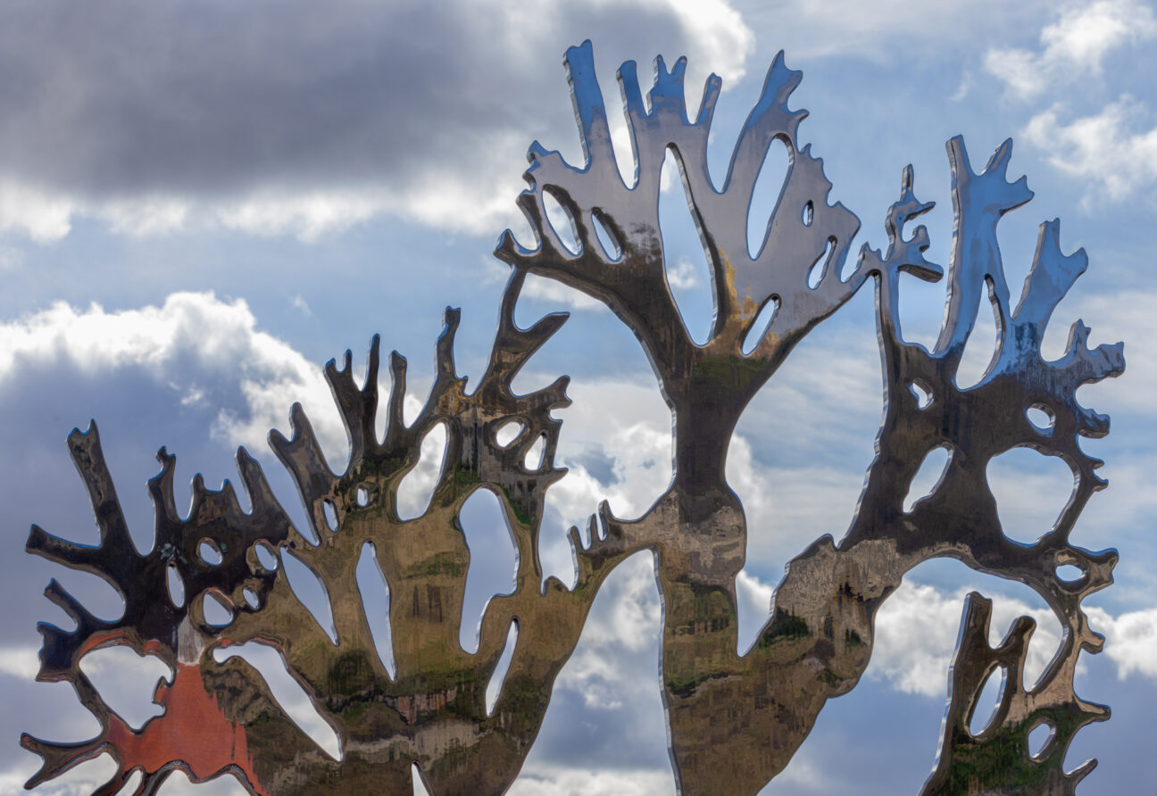 The top of the seaweed sculpture is visible. The surface of the sculpture reflects Scarborough Harbour behind the photographer, and sits against a cloudy blue sky.
