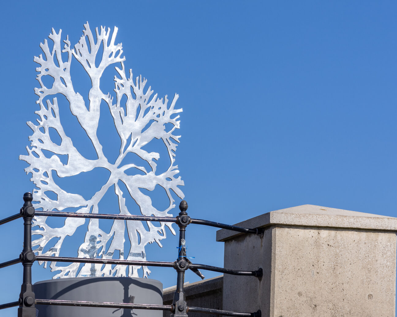 The metal seaweed shaped Sea Oak sculpture stands behind railings, in front of a cloudless blue sky.