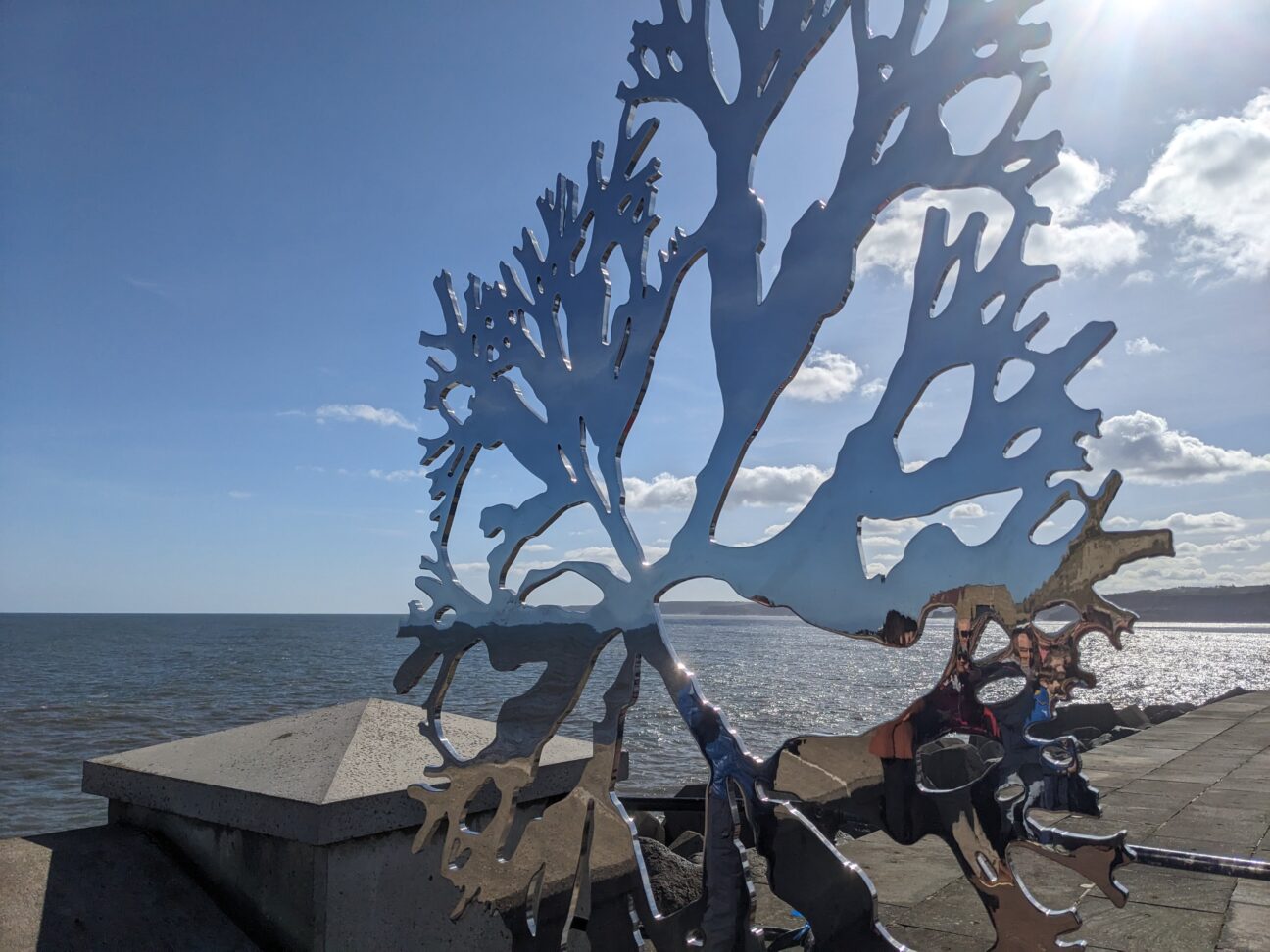 Sea Oak by Paul Morrison, photograph by Richard Ponter