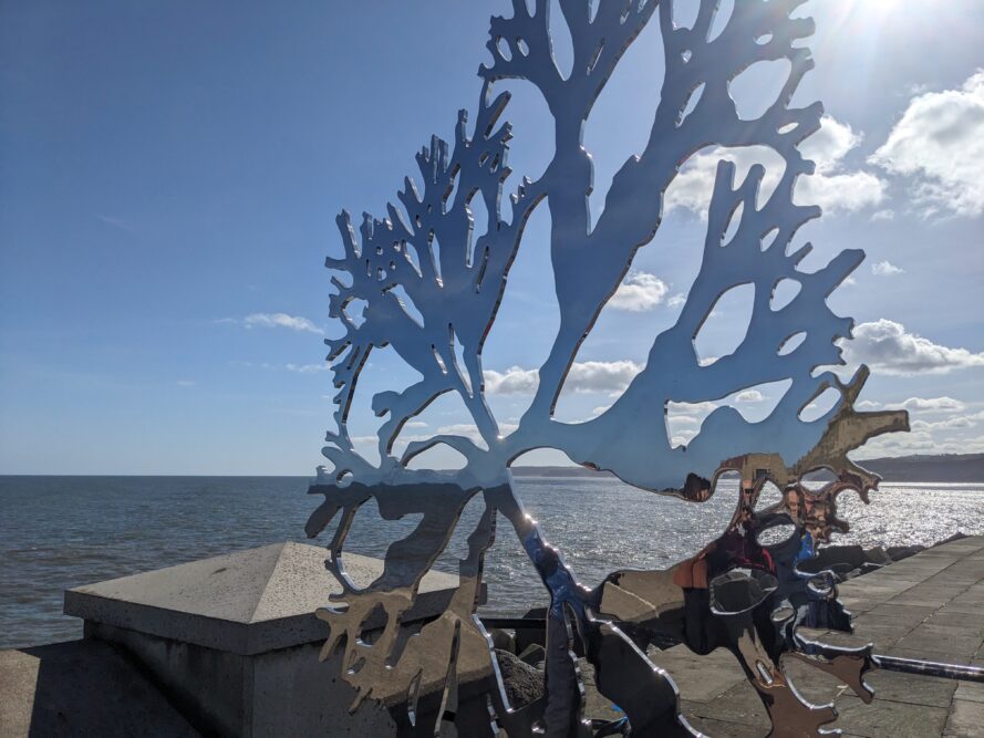 Sea Oak by Paul Morrison, photograph by Richard Ponter