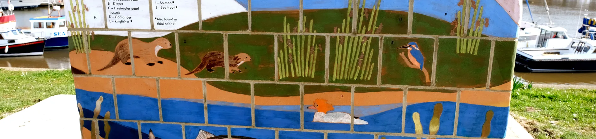 A brightly coloured ceramic bench depicting estuary nature. The image includes a kingfisher, sea trout, freshwater pearl mussels , and otter.