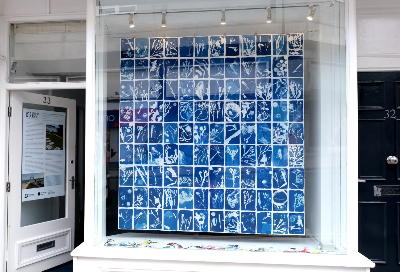 A white framed shop window displays blue and white cyanotypes. The shop door is open, and the door window has a Wild Eye intepretation poster.