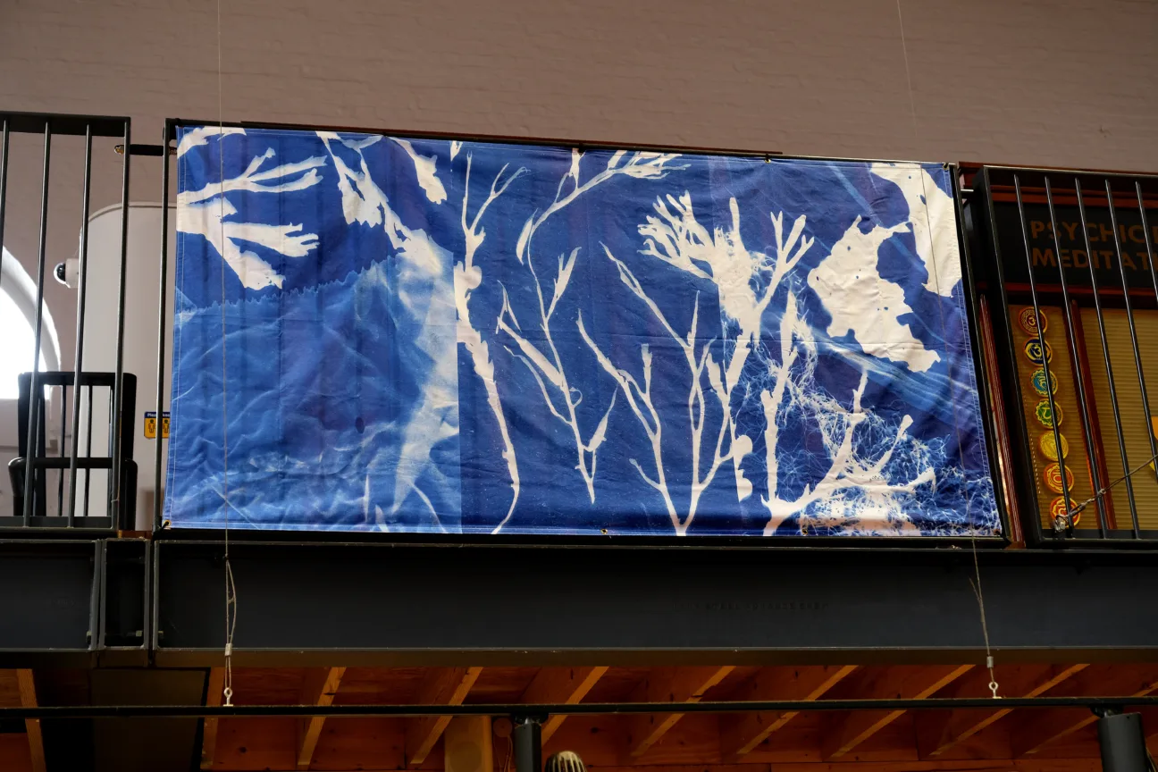 A close up of a large banner of a cyanotype or sun print of seaweed and plastic litter attached to railings in the market hall.