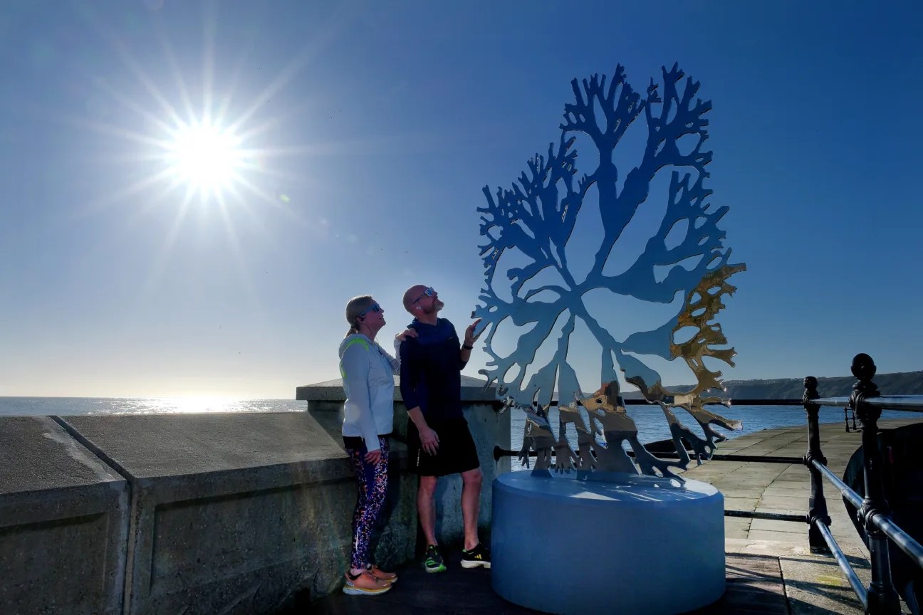 Two people at Scarborough harbour on a sunny day, looking at the reflective surface of the sea oak sculpture, a stainless steel form representing bladderwrack seaweed, created by artist Paul Morrison,