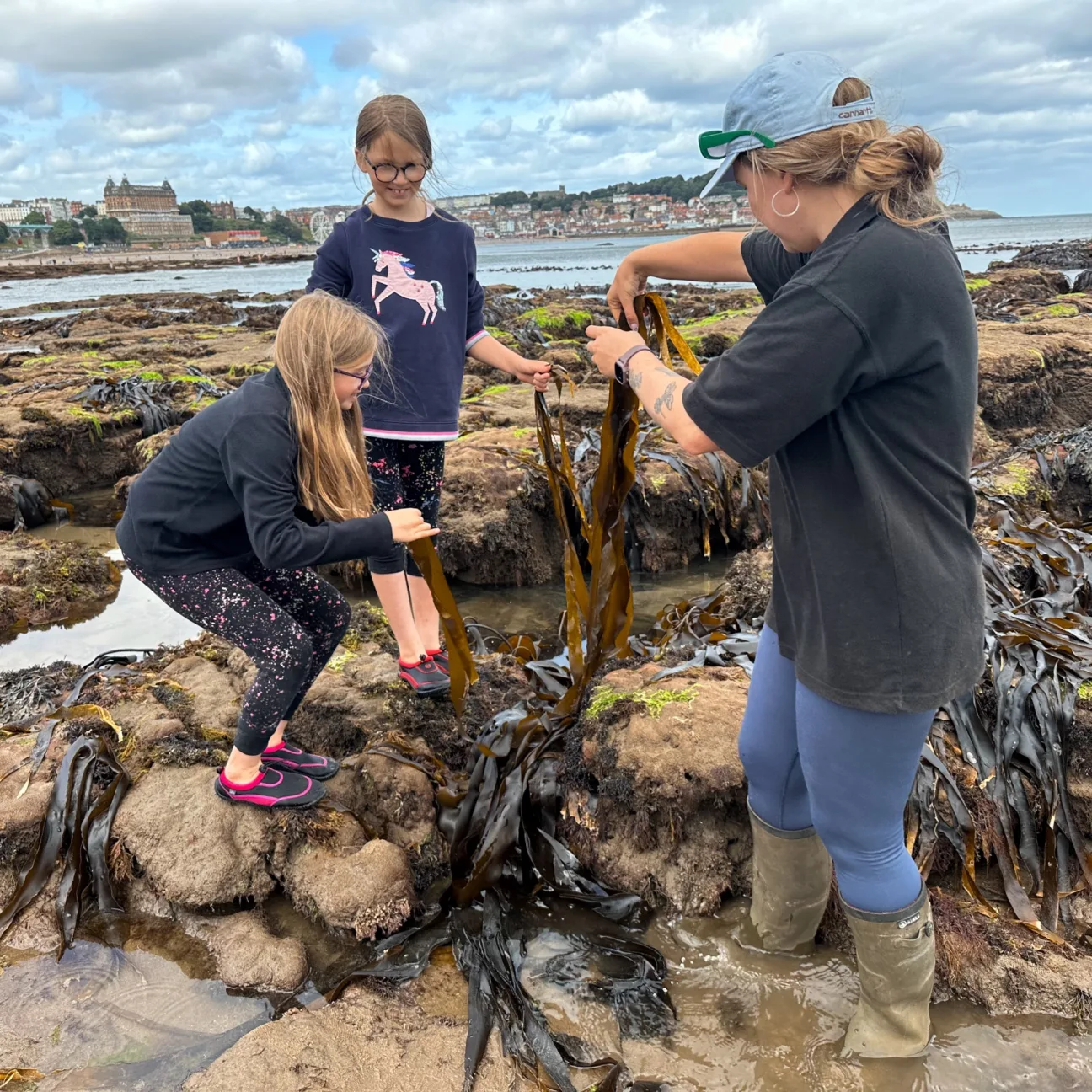 A female staff member shows two children a seaweed in rockpools.