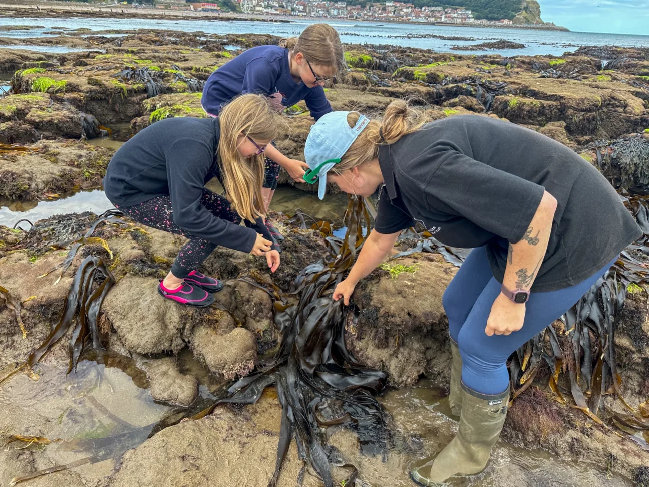 A female staff member bends down to show two children a seaweed in rockpools.