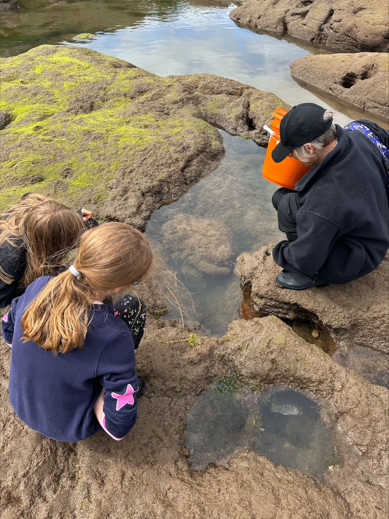 Three participants look down into a rockpool