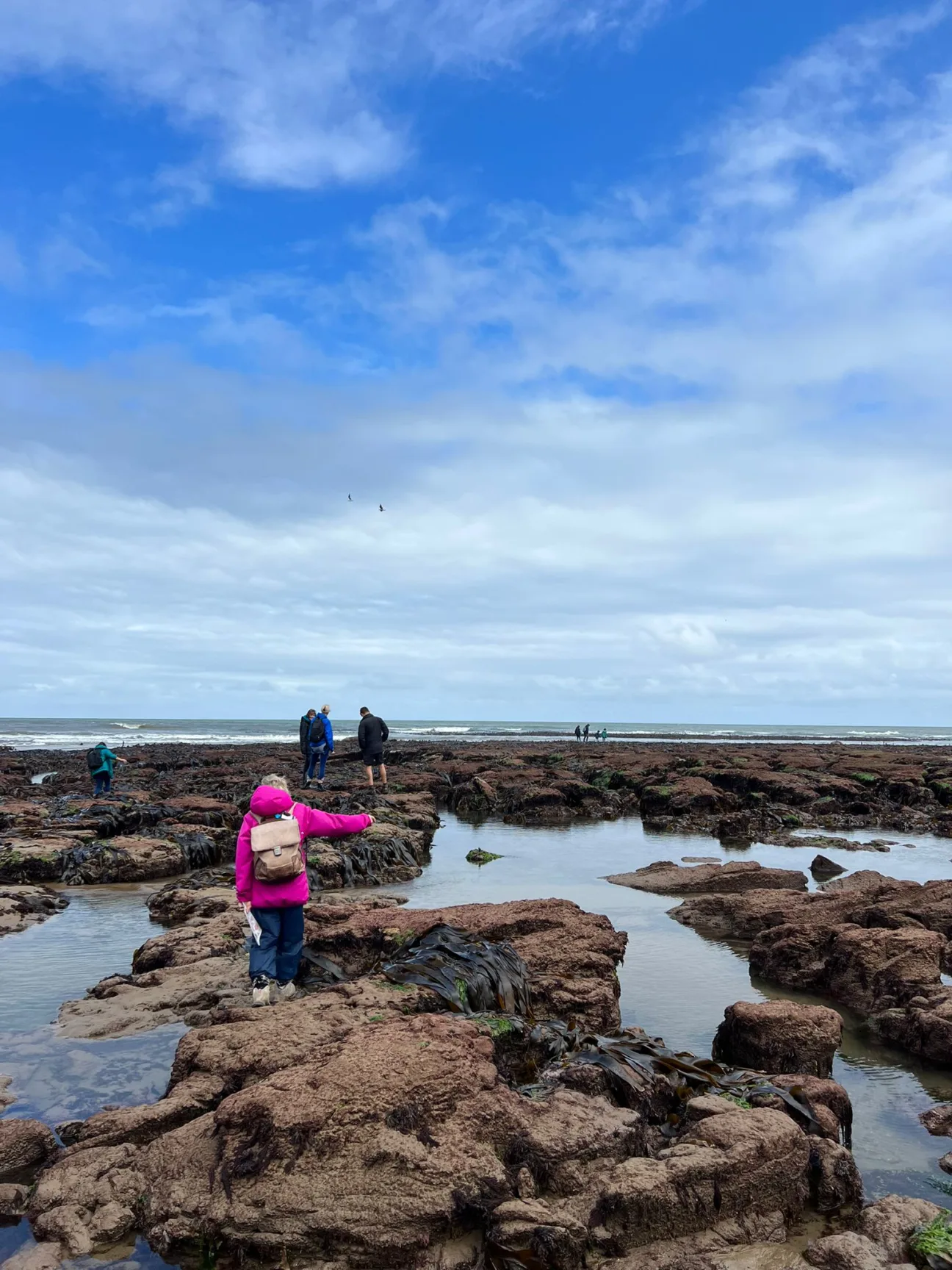 People exploring South Bay's rockpools against a blue sky